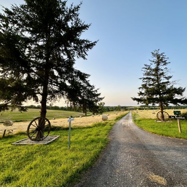 Cadre naturel des écuries
